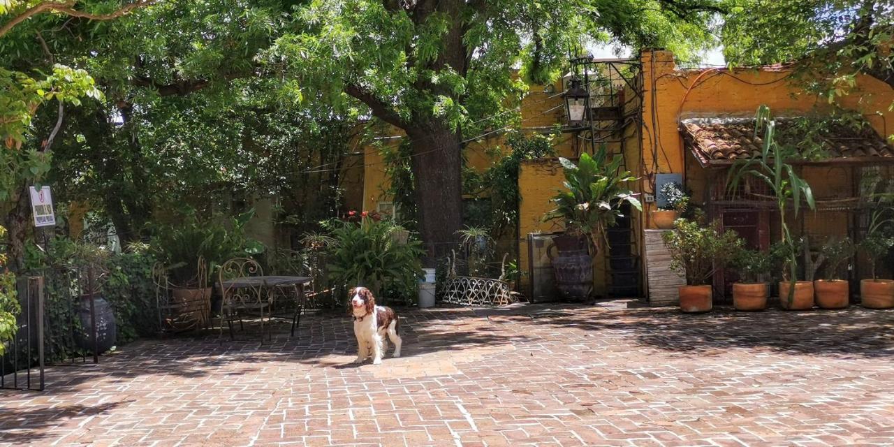 Hotel Sautto San Miguel de Allende Ngoại thất bức ảnh